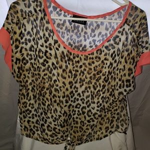 Leopard Crop Top